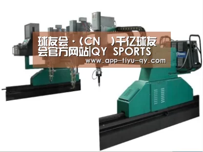 产品名称十二